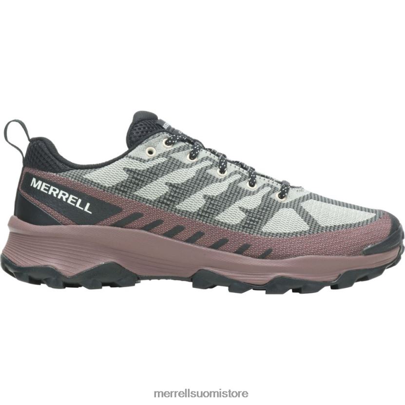 speed eco (j037127) Merrell miehet 2RR88X31 osteri/marron kenkiä