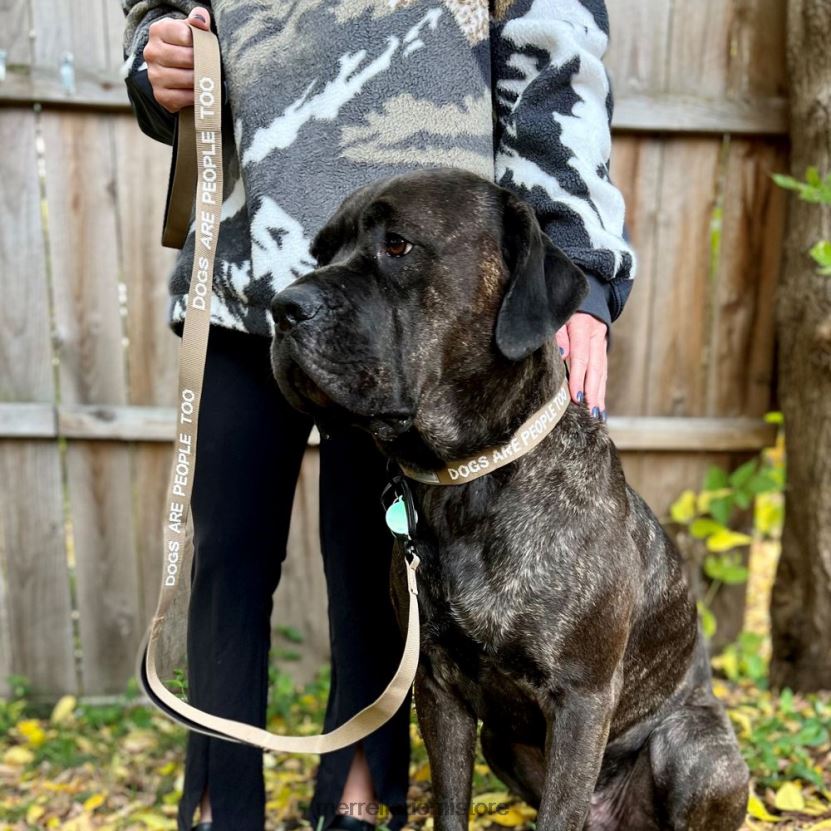 koiran panta (jaf26691-176) Merrell sukupuolineutraali 2RR88X271 seepia sävy Lisätarvikkeet